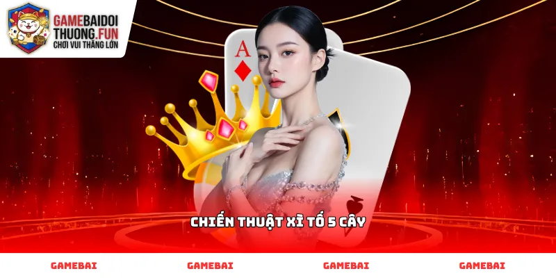 Phương pháp áp dụng Chiến thuật Xì tố 5 cây tại bàn cược