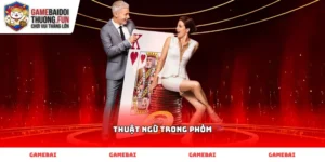 Các Thuật ngữ trong Phỏm cơ bản cho người mới